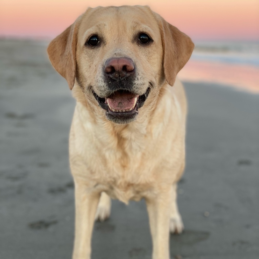 Meet your Posher, Rashell - Picture 2 of 4